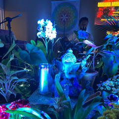 Madana Mohana Murari - Tomaz Lima (28-03-25)