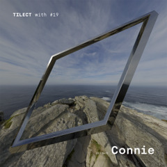 TILECT with #19 Connie