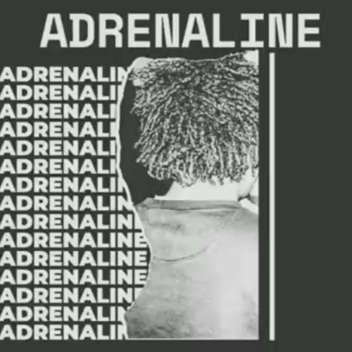 Afro_-_Adrenaline_(Prod_By_PsySpirit)_|__افرو_-_ادرينالين(256k).mp3