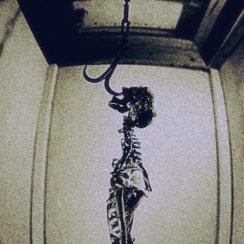 TEMPOT - SANITY
