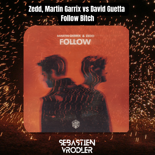 Zedd vs Martin Garrix vs David Guetta - Follow Bitch (Sébastien Vrodler Mashup)