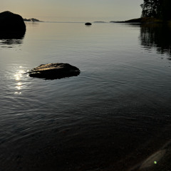 dancefloor dnb bangers mix