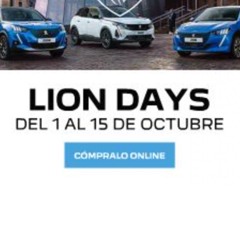 Lion Days