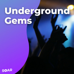 Underground Gems 💎 Techno & House Hits