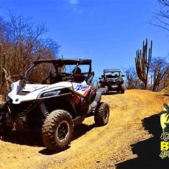 Review Special Price 2hour Buggy Adventure Tour In Curacao