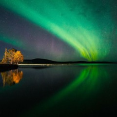 Cover • Sofiane Pamart - Borealis