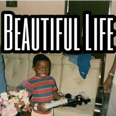 Beautiful Life