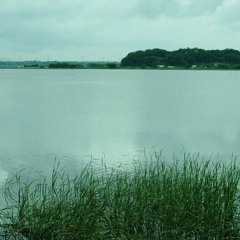 Log_20230515（demo）