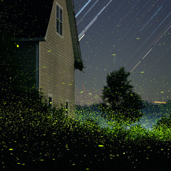 Fireflies
