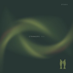 Nico Sparvieri, Esteban Romano - Encounters (Original Mix){Or Two Strangers}