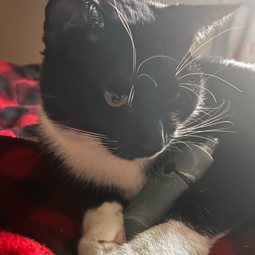 elevated /cake3k prod 444jet sophitia