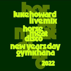 Luke Howard Live At Horse Meat Disco, The Eagle, January 1st 2022