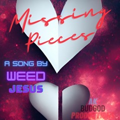 Weed_Jesus - missing pieces .m4a