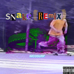 Snake (Remix)