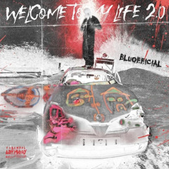 Welcome To My Life 2.0