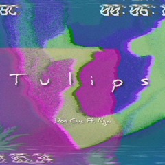 Tulips ft. Ngai