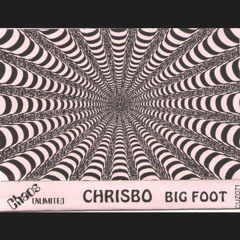Chrisbo - Bigfoot mix (Chaos Unlimited CUZ071, 1997)