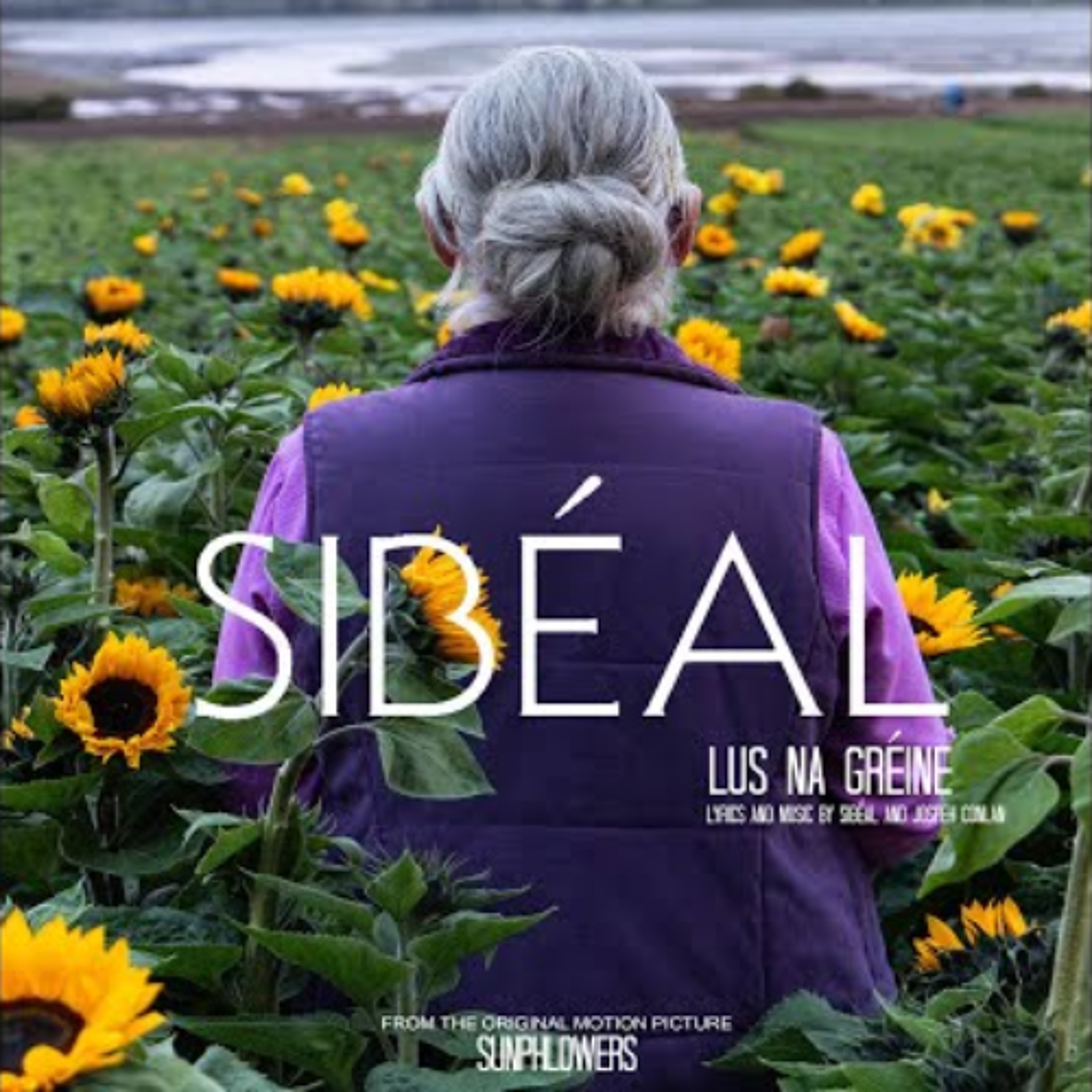 Lus na Gréine - Sibéal, ceoltóir episode artwork