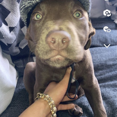 lois rae’s play list