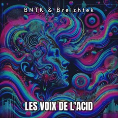 BNTK & Breizhtek - Les Voix De L'Acid (170BPM)