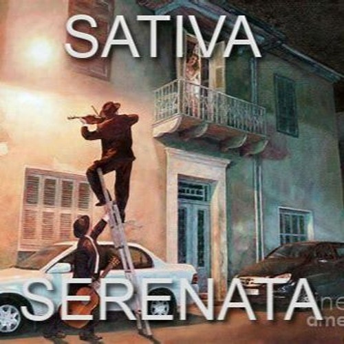 [2020] Sativa Serenata