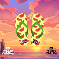 CHANCLIS🍉 - Mixed by Tribal House Aleteo (unofficial set)