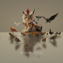 Bird's Night Out
