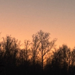 Twilight