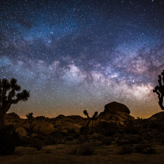 Lisha DJ  Set March 12th 2022