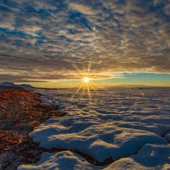 4-D TRAVELLER - Under The Midnight Sun