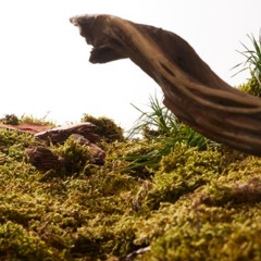 Tarpaima (Osen Hutasoit) House Music Remix (freedo edit)