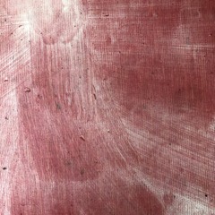 disquiet0437(Garden sounds with tube drone)