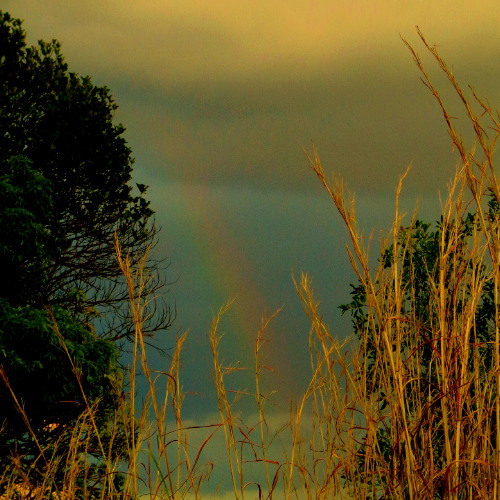 Convoque Seu Buda (Criolo) versão Drill - Mix by AMÁLGAMA