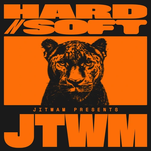 Artwork for the song HARD N SOFT (BALTRA REMIX) by Jitwam, Fiorious on Next Sound
