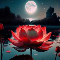 haluma style flower (uralom kania).mp3