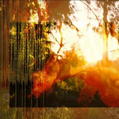 Sl4yn ((1528DDflip)) -  BlackKrayXBootychaaain