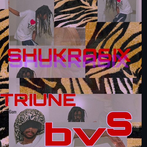 TRIUNE bVs