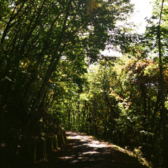 Baby walk (remaster)