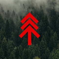 Roll The Old Chariot - Pine Tree Riots