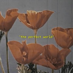 the perfect world