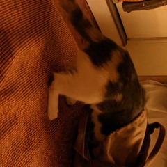 ur not the reason im sad