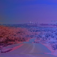 We Dance, I'm Afraid.