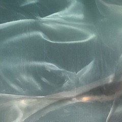 Beluga (prod. georgie)