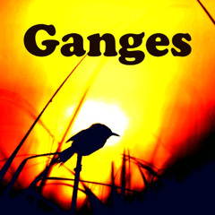 Ganges