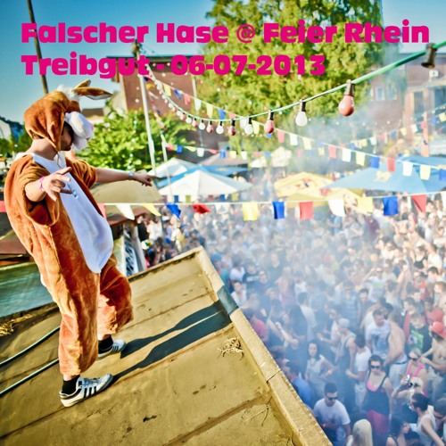 Falscher Hase at Feier Rhein - Treibgut - 06-07-2013