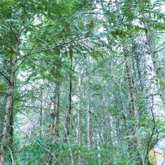 Group !dentity (Original Mix)