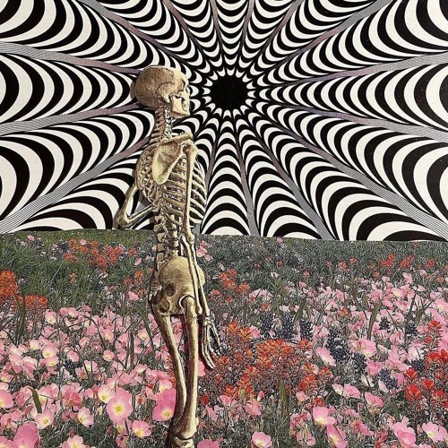 twisted frequencies w&w 6/1