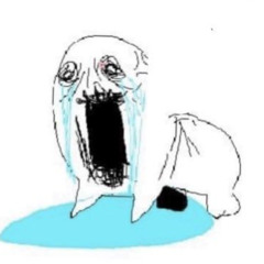 what are you TALKING about????