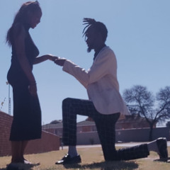 Husbands of Hollywood