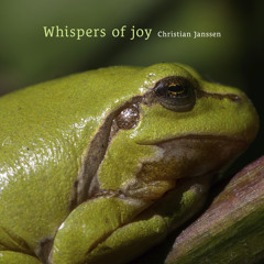 Whispers of joy